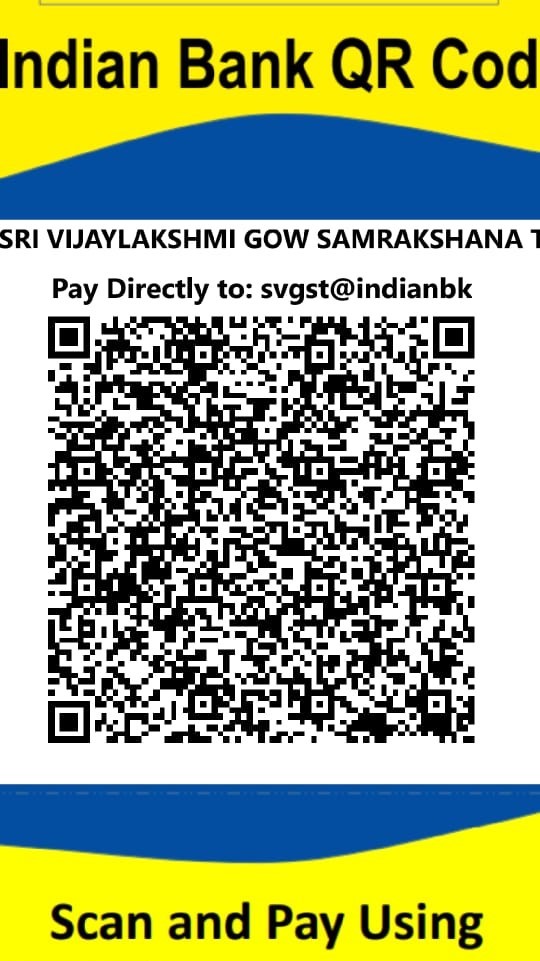 UPI QR Code